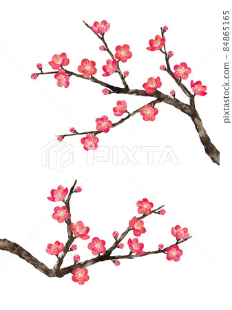 Plum Blossom 8 84865165