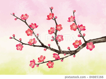 Plum Blossom 7 Plum Blossom 7 84865166