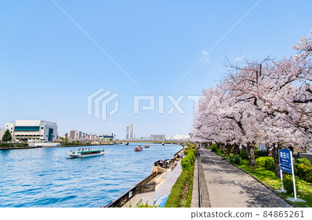 Sumida-ku, Tokyo Spring Sumida River-Sakura in full bloom around Kotoibashi- Sumida-ku, Tokyo Spring Sumida River-Sakura in full bloom around Kotoibashi- 84865261