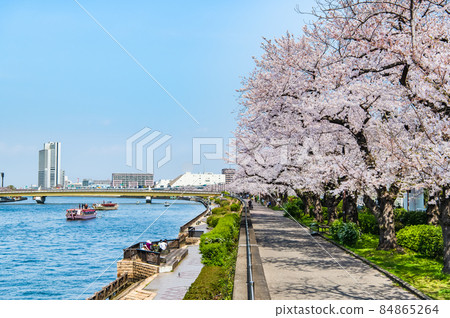 Sumida-ku, Tokyo Spring Sumida River-Sakura in full bloom around Kotoibashi- 84865264