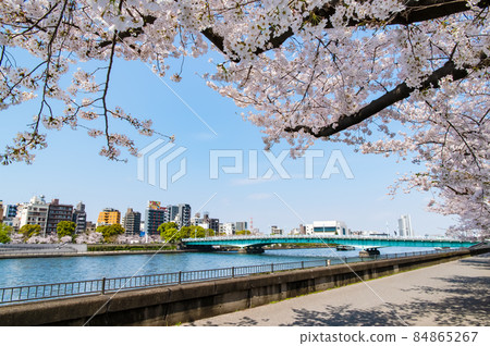 東京隅田區春天隅田川-在琴橋周圍盛開的櫻花- 84865267