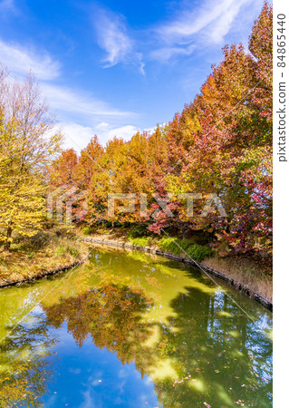 Kaizu City, Gifu Prefecture Autumn Aqua World Mizugo Park Center with beautiful autumn leaves of sweetgum 84865440