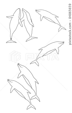 簡單的海豚線藝術插圖 簡單的海豚線藝術插圖 84865659