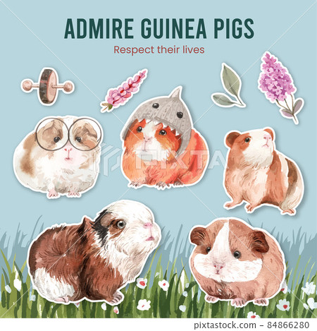 Sticker template with cute guinea pig concept,watercolor style 84866280