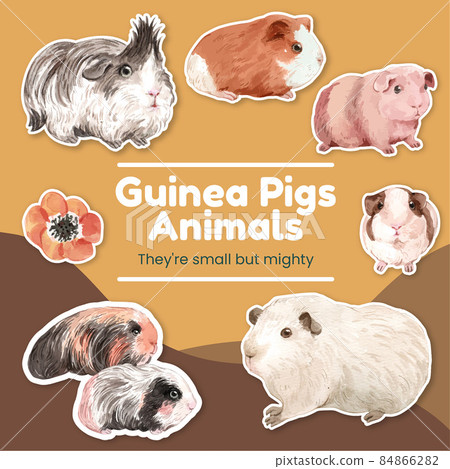 Sticker template with cute guinea pig concept,watercolor style 84866282