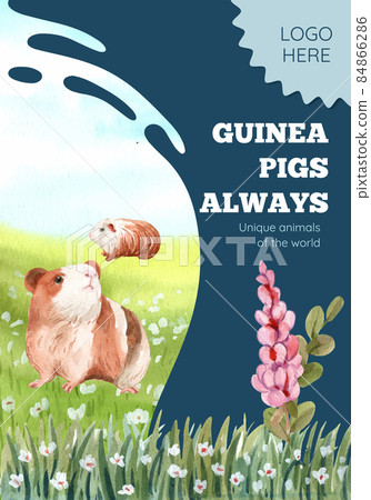 Poster template with cute guinea pig concept,watercolor style 84866286