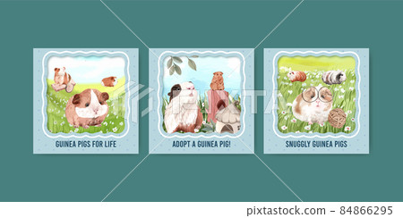 Banner template with cute guinea pig concept,watercolor style 84866295