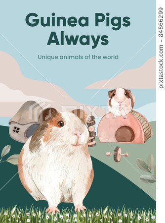 Poster template with cute guinea pig concept,watercolor style 84866299