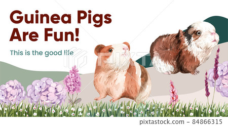 Billboard template with cute guinea pig concept,watercolor style Billboard template with cute guinea pig concept,watercolor style 84866315