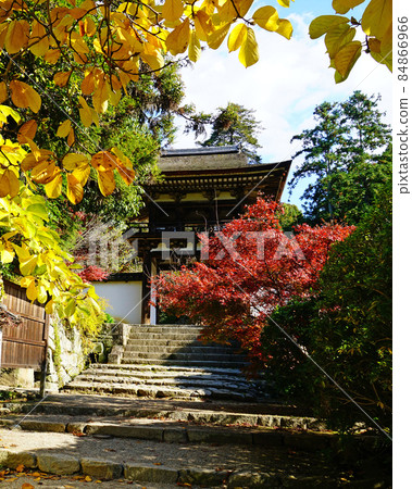 Nagatake-ji Temple Autumn leaves Nara Prefecture 84866966