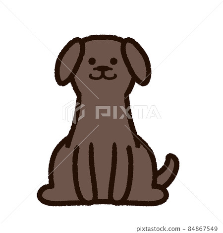 可愛的拉布拉多獵犬棕色 84867549