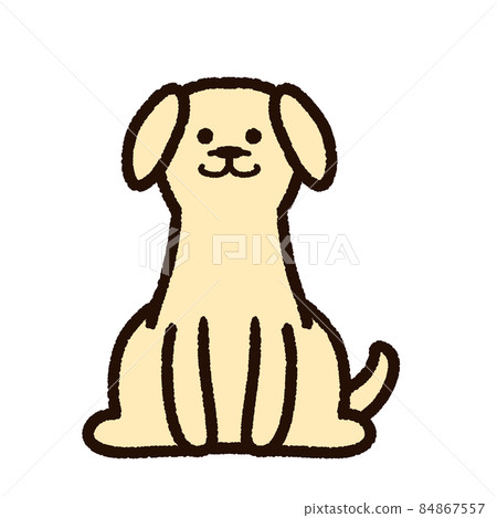 可愛的拉布拉多獵犬黃色 84867557