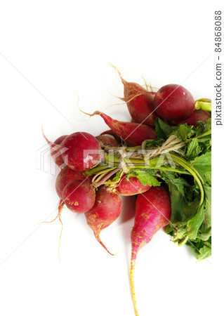 radish, radish radish, radish 84868088