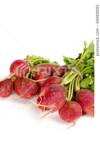 radish, radish radish, radish 84868092