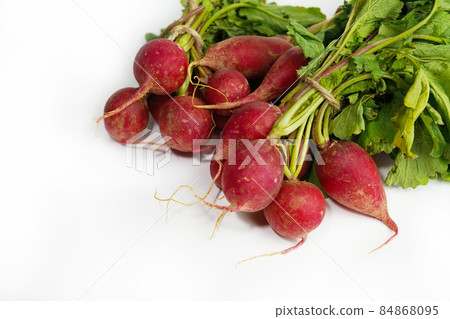 radish, radish radish, radish 84868095