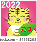 虎/生肖 84868298