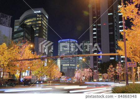 Osaka Midosuji Winter Illuminations 84868348
