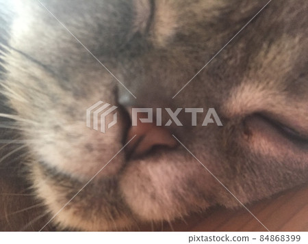 Nose breath 84868399