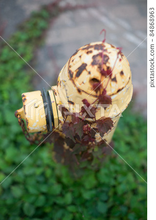 Rusted fire hydrant Rusted fire hydrant 84868963