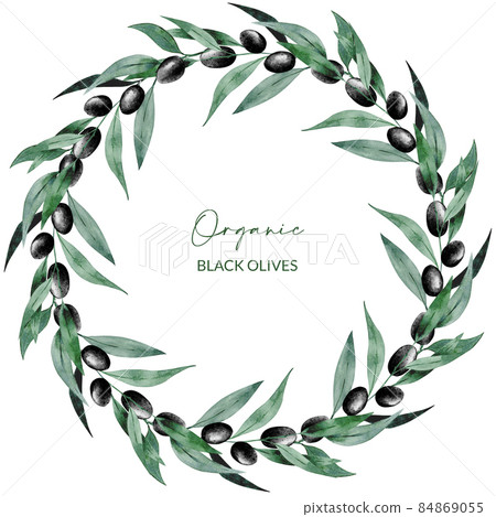 Watercolor round wreath of black olives branch.... - Stock Illustration ...