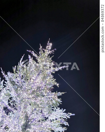 Illuminations of fir trees shining in the night sky 84869372