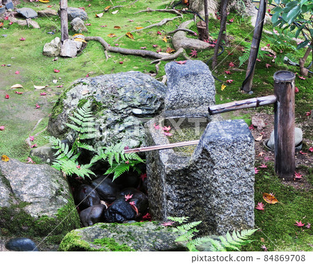 Kyoto Entoku-in Autumn Leaves Kyoto Entoku-in Autumn Leaves 84869708