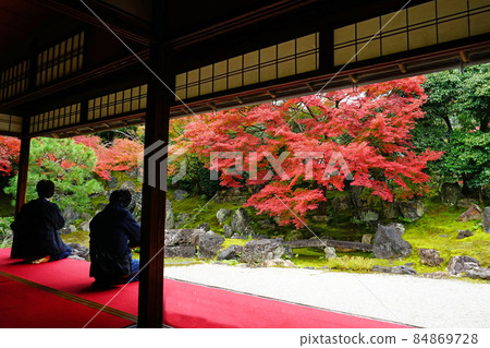 Kyoto Entoku-in Autumn Leaves Kyoto Entoku-in Autumn Leaves 84869728