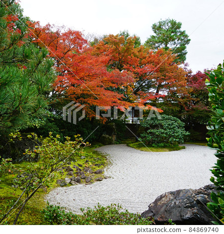 京都圓德院紅葉 京都圓德院紅葉 84869740