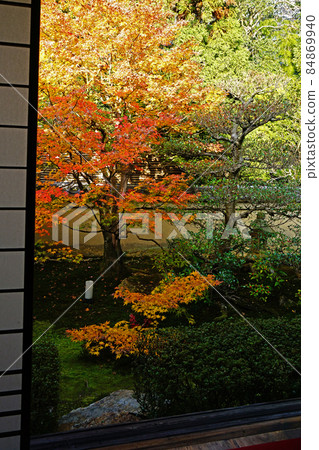 京都千遊寺雲龍院秋葉 京都千遊寺雲龍院秋葉 84869940