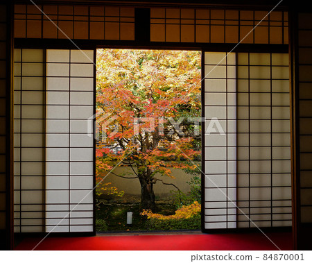 京都千遊寺雲龍院秋葉 京都千遊寺雲龍院秋葉 84870001