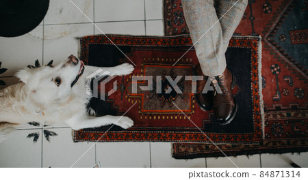 Unrecognizable senior man sitting in cafeteria with his dog, directly above view. 84871314