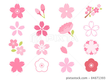 Cherry blossom icon vector illustration set Cherry blossom icon vector illustration set 84871393