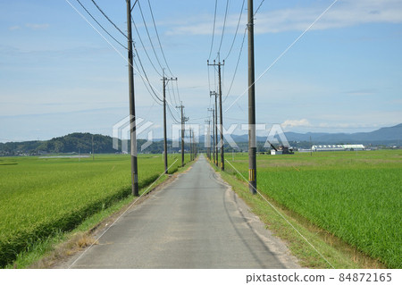 A straight road between utility poles A straight road between utility poles 84872165