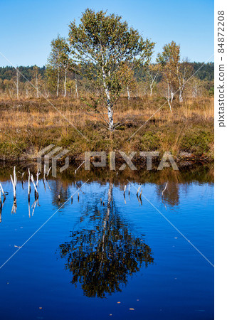 Kendlmuehlfilz near Grassau, an upland moor in Southern Bavaria, Germany Kendlmuehlfilz near Grassau, an upland moor in Southern Bavaria, Germany 84872208