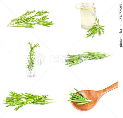 Collage of rosemary isolated on a white background cutout 84872965