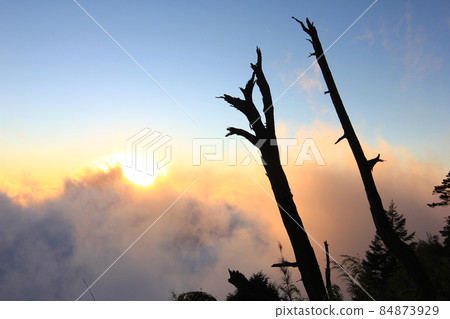 Evening color mist Evening color mist 84873929