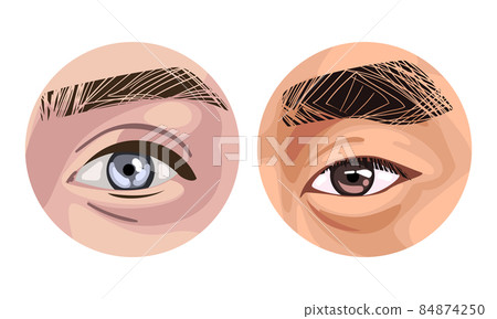 Human Eye of Various Color as Sense Organ with Brow Vector Set 84874250