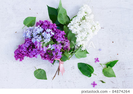 Bunch of fresh lilac Bunch of fresh lilac 84874264