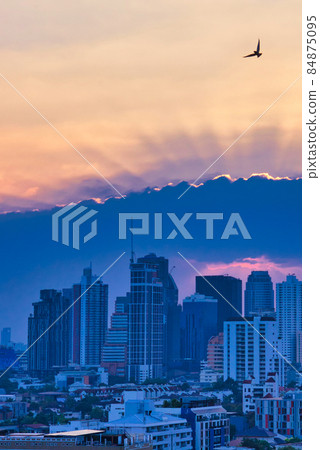 鳥兒在孤獨的城市日落背景下飛翔 84875095