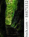 Izu Oshima's Izumitsu cut through 84875332