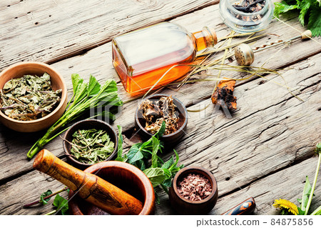 Healing herbs in herbal medicine 84875856