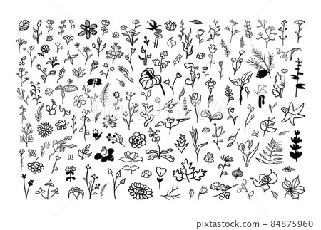 Doodle Flowers Set 84875960