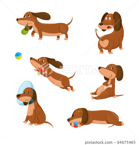 Set of Illustrations with Dachshund Character Set of Illustrations with Dachshund Character 84875965
