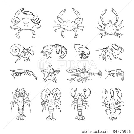 Set of Crustaceans in Art Ink Style 84875996