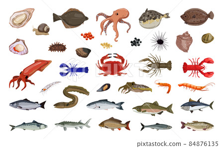 Freshwater and Sea Fish and Delicacies 84876135