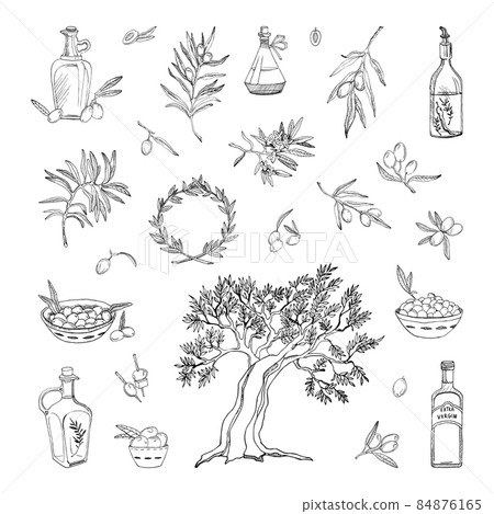 Olives Illustrations in Art Ink Style Olives Illustrations in Art Ink Style 84876165