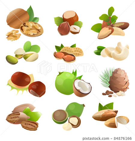 Set of Realistic Nuts Set of Realistic Nuts 84876166