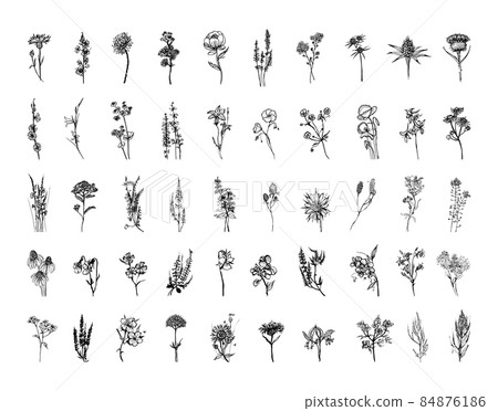 Meadow Flowers in Art Ink Style 84876186