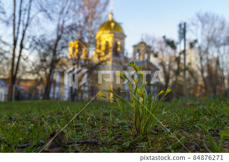 First spring flowers in city park and Orthodox Cathedral in sunset light First spring flowers in city park and Orthodox Cathedral in sunset light 84876271
