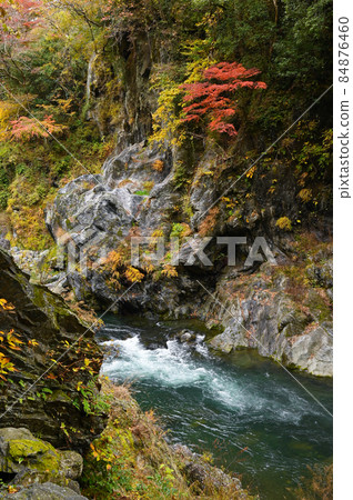 秋天的Fallonoid谷 84876460